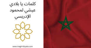 كلمات يا بلادي عيشي لمحمود الإدريسي