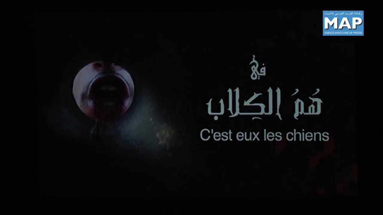 هم الكلاب