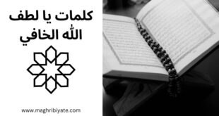 كلمات قصيدة يا لطف الله الخافي