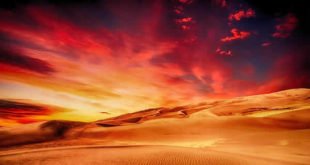 اللهم إليك أشكو ضعف قوتي