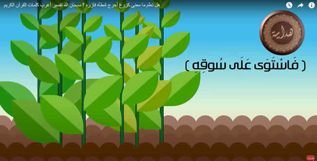 كزرع أخرج شطأه