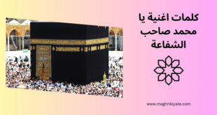 كلمات اغنية يا محمد صاحب الشفاعة